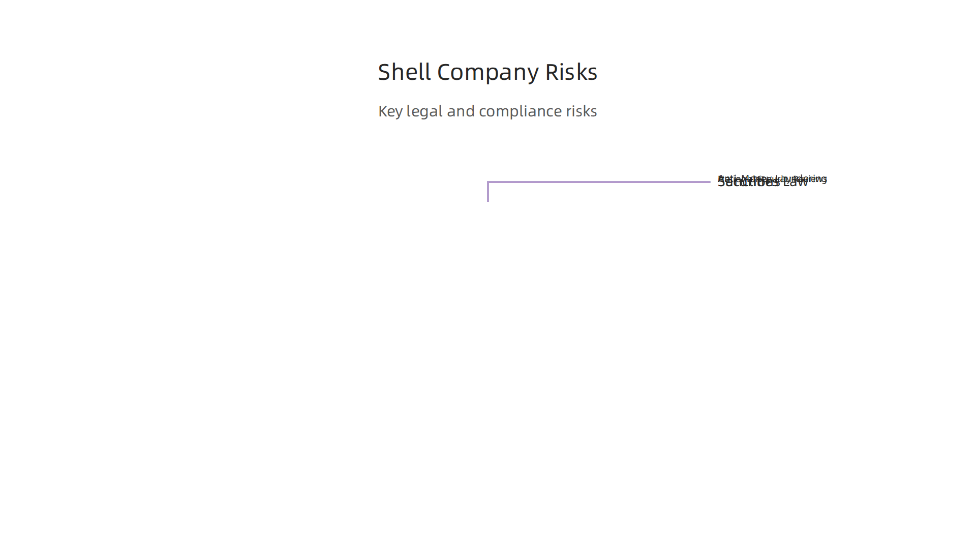 Key regulatory risks associated with the misuse of shell companies for illicit activities.